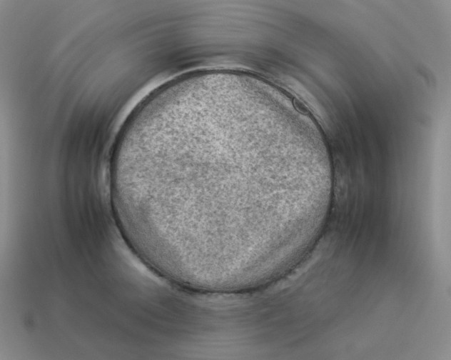 X0000113311092200910131102