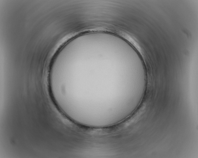 X0000113311093200910131102