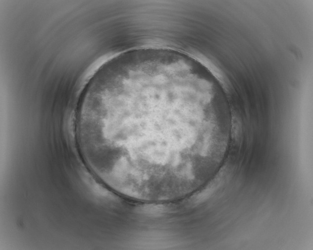 X0000113311094200910131102