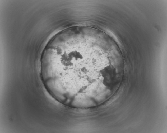 X0000113311095200910131102