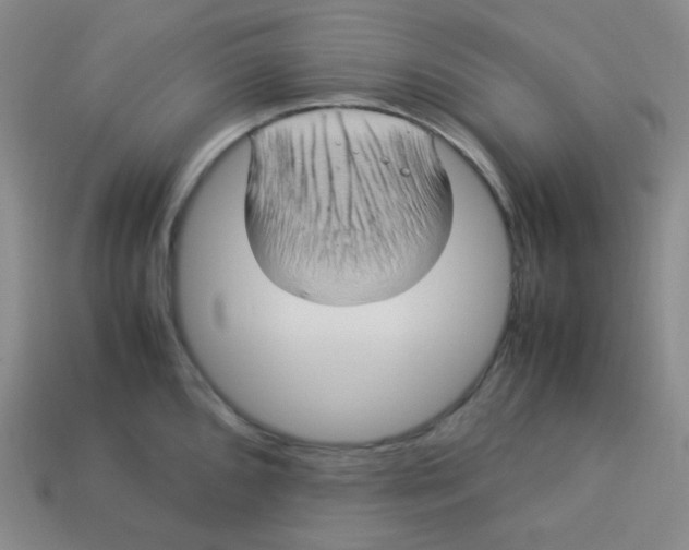 X0000113311096200910131102