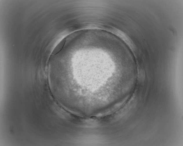 X0000113311097200910131102