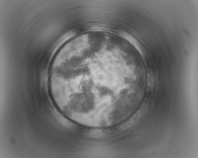 X0000113311098200910131102