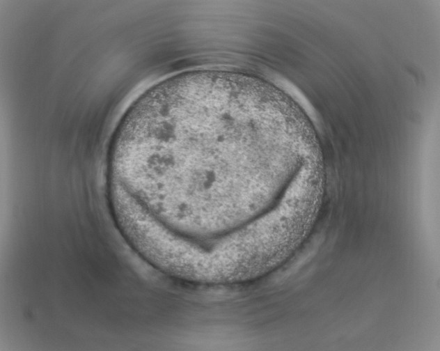 X0000113311099200910131102