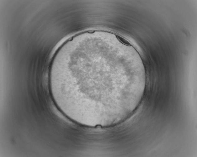 X0000113311100200910131102