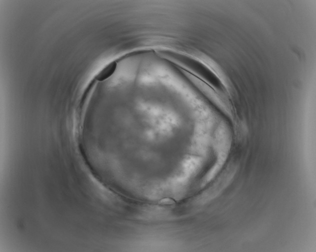 X0000113311101200910131102