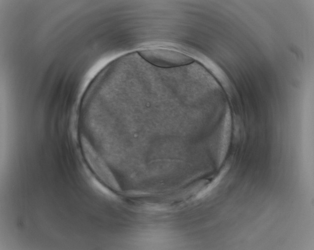 X0000113311102200910131102