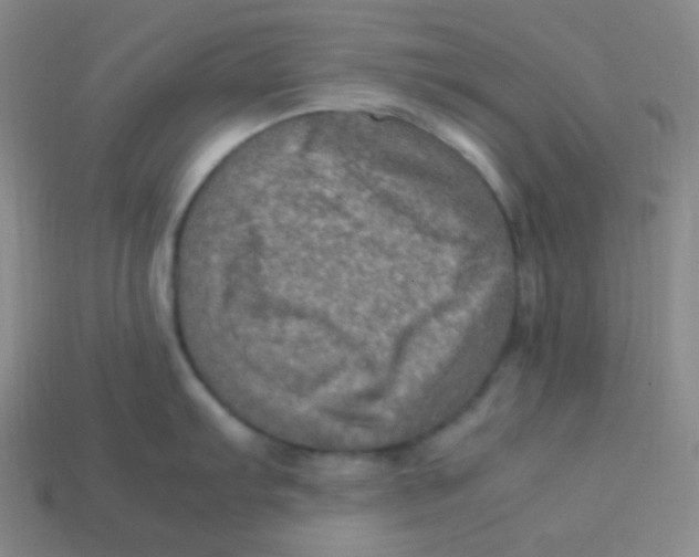 X0000113311103200910131102