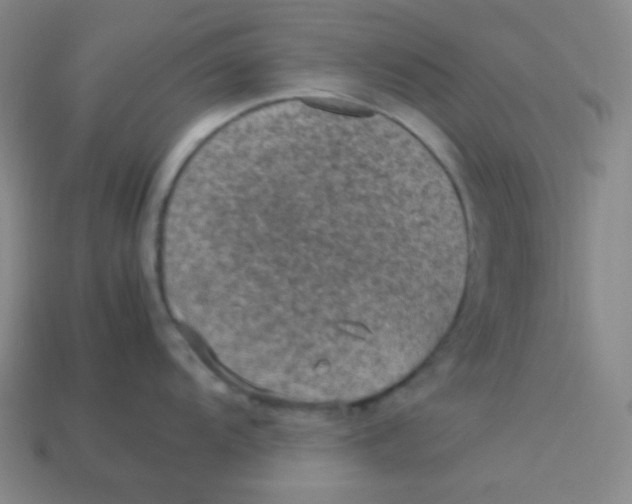 X0000113311104200910131102