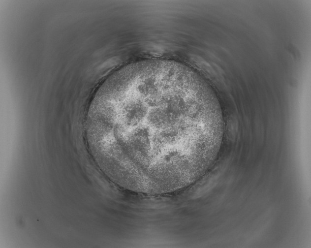 X0000113311105200910131102