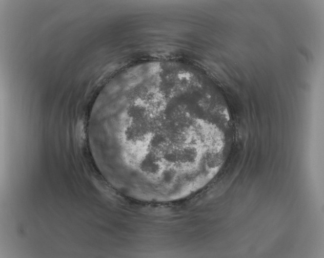 X0000113311106200910131102