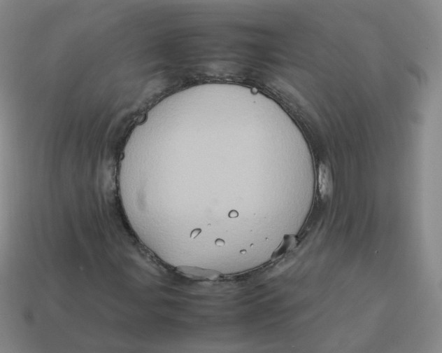 X0000113311107200910131102