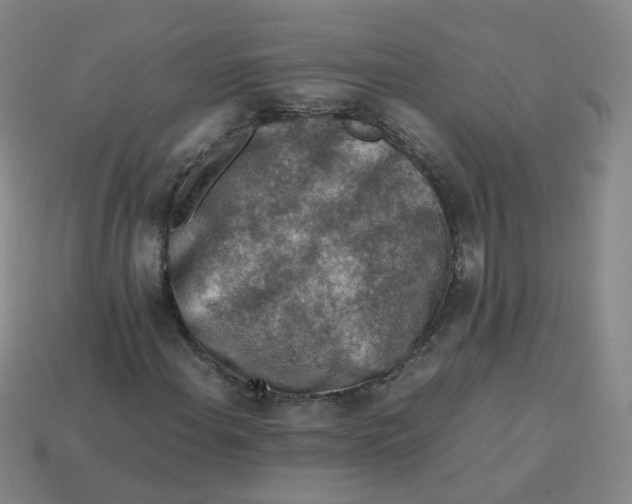 X0000113311108200910131102