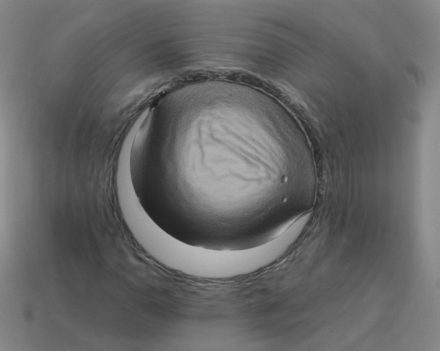 X0000113311110200910131102