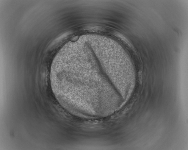 X0000113311111200910131102