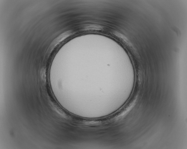 X0000113311113200910131102