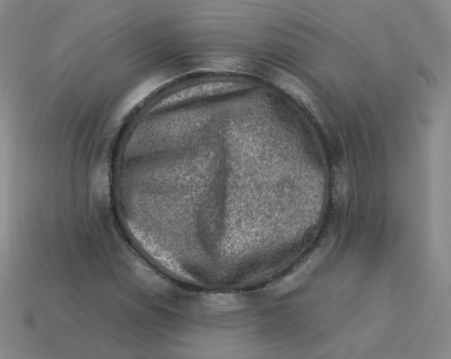 X0000113311114200910131102