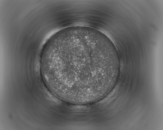 X0000113311115200910131102