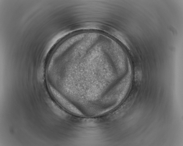 X0000113311116200910131102