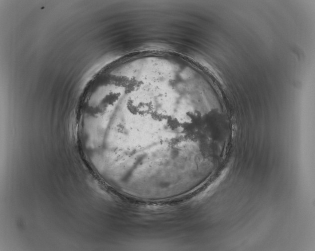 X0000113311117200910131102