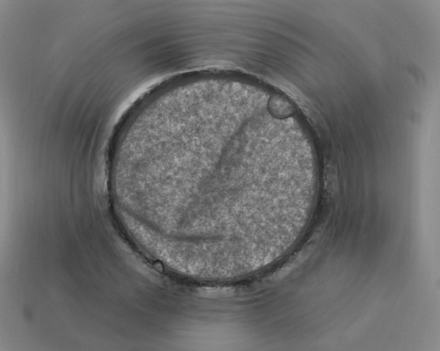 X0000113311118200910131102