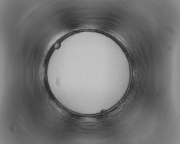 X0000113311119200910131102