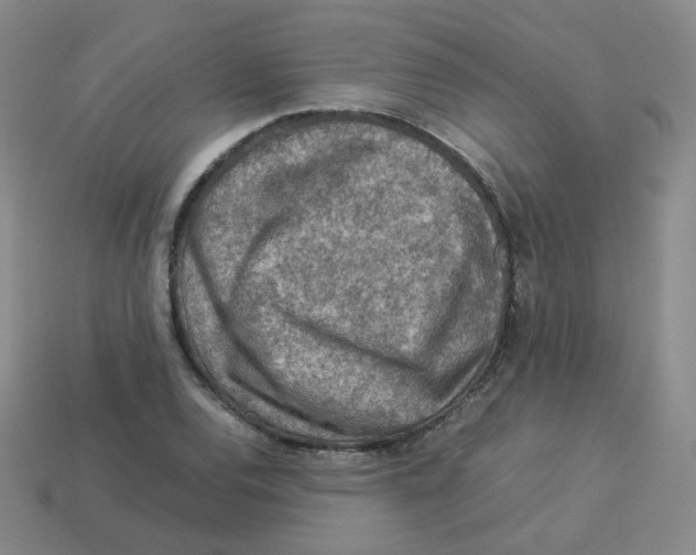 X0000113311120200910131102