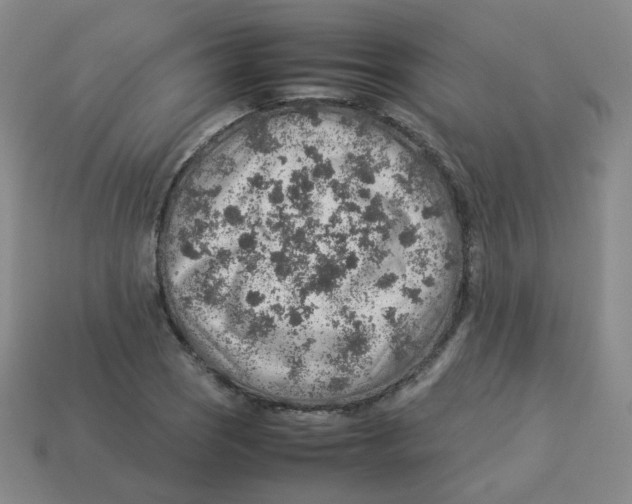 X0000113311121200910131102