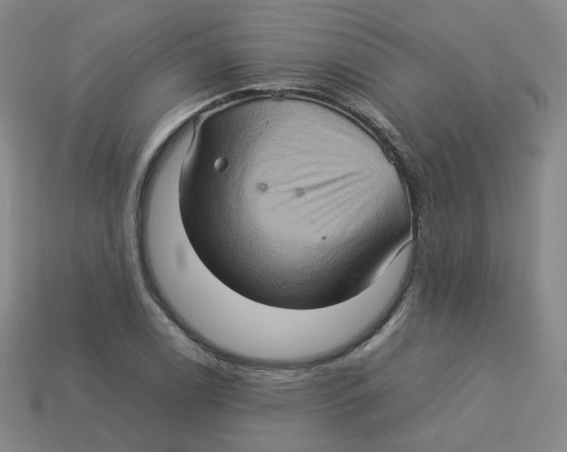 X0000113311122200910131102