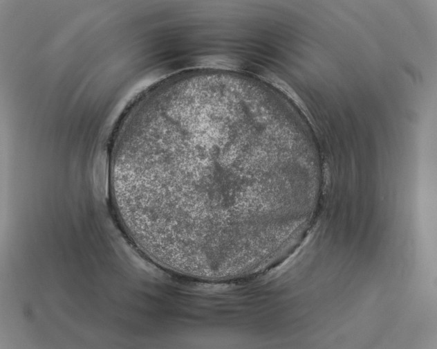 X0000113311123200910131102