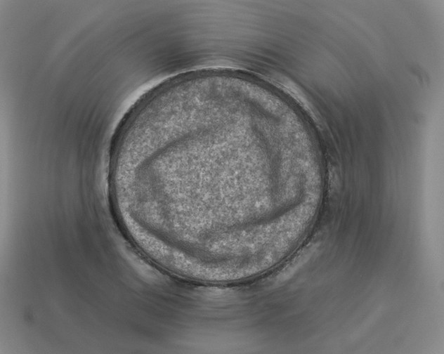 X0000113311124200910131102