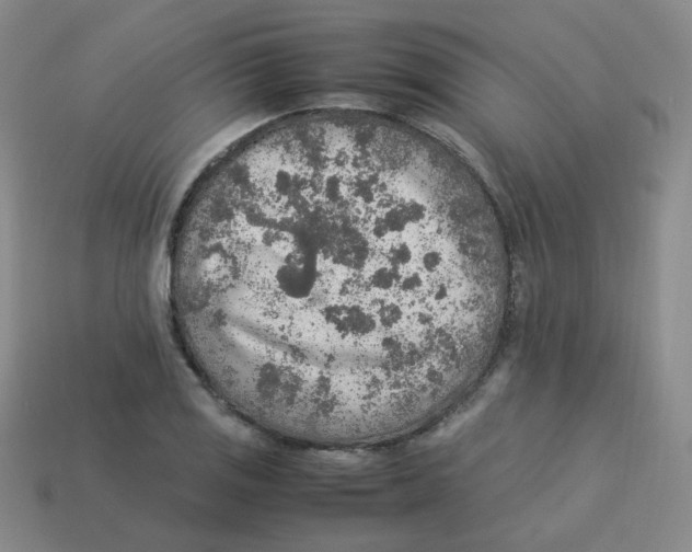 X0000113311125200910131102