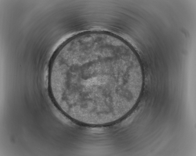 X0000113311126200910131102