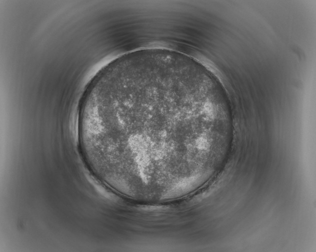 X0000113311127200910131102