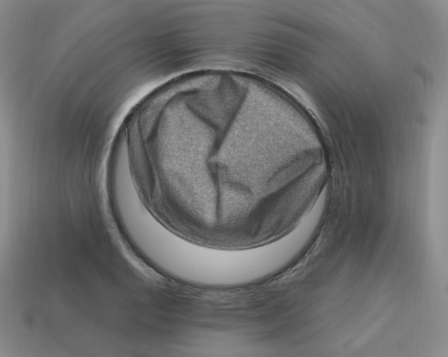 X0000113311128200910131102