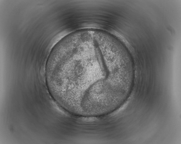 X0000113311129200910131102