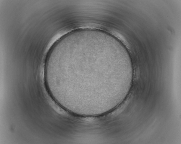 X0000113311130200910131102