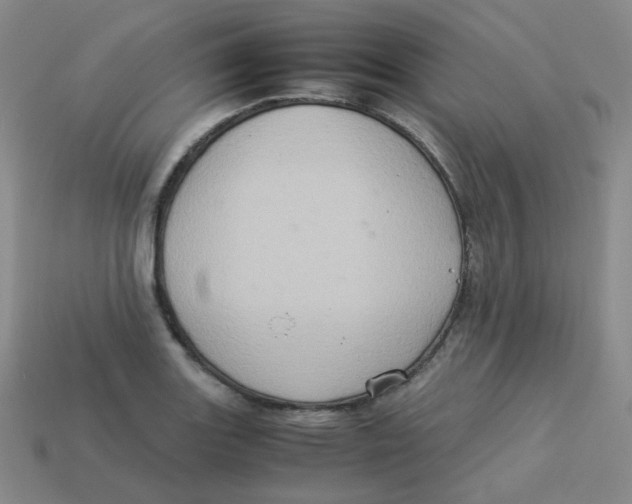 X0000113311131200910131102