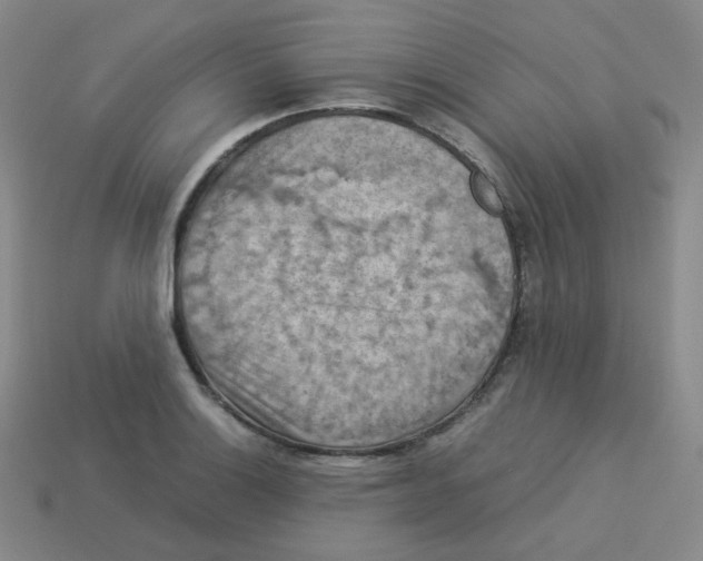 X0000113311132200910131102