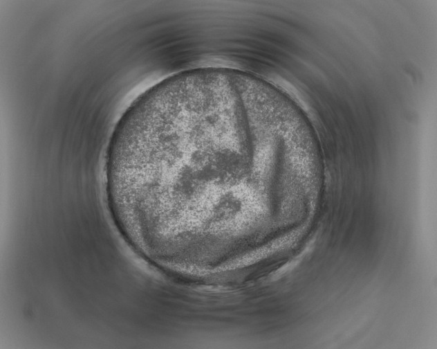 X0000113311133200910131102