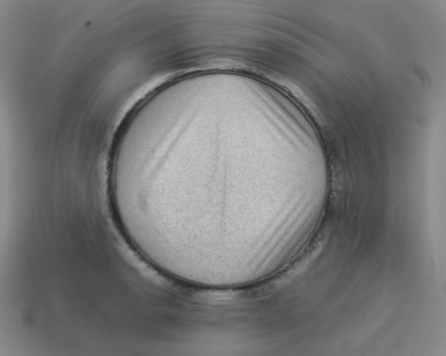 X0000113311134200910131102