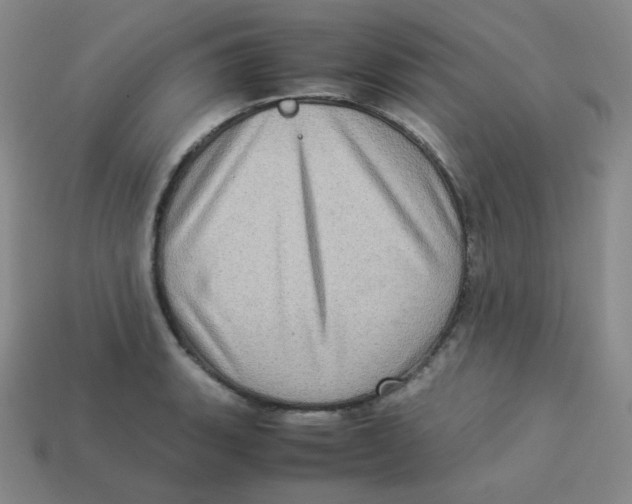 X0000113311135200910131102