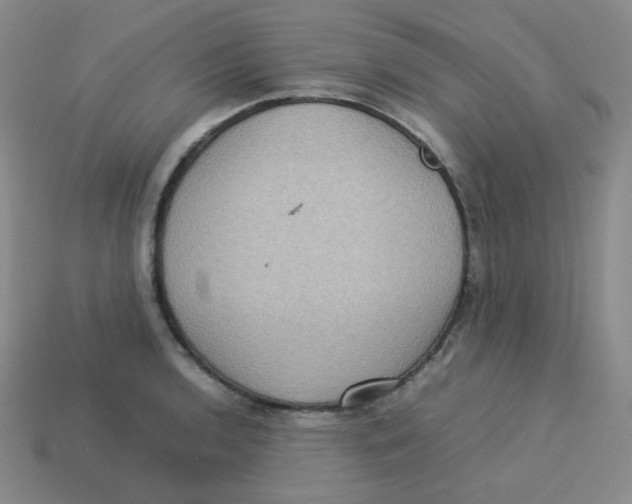 X0000113311136200910131102