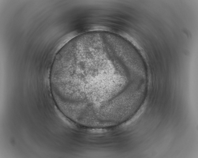 X0000113311137200910131102