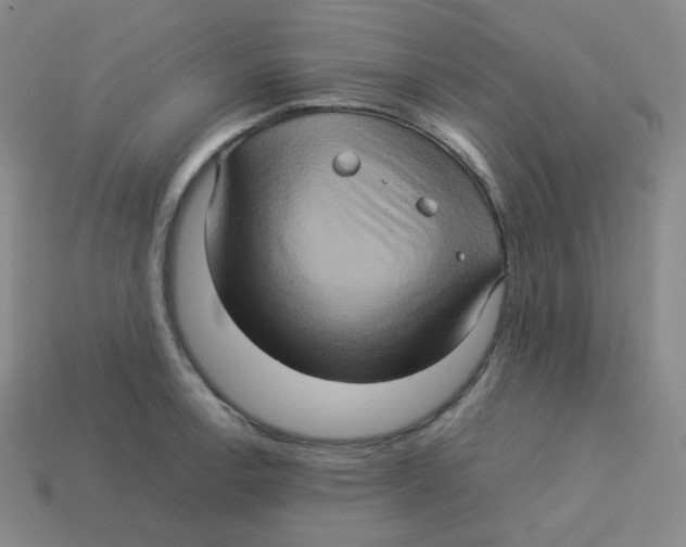 X0000113311138200910131102