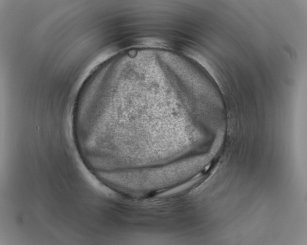 X0000113311139200910131102