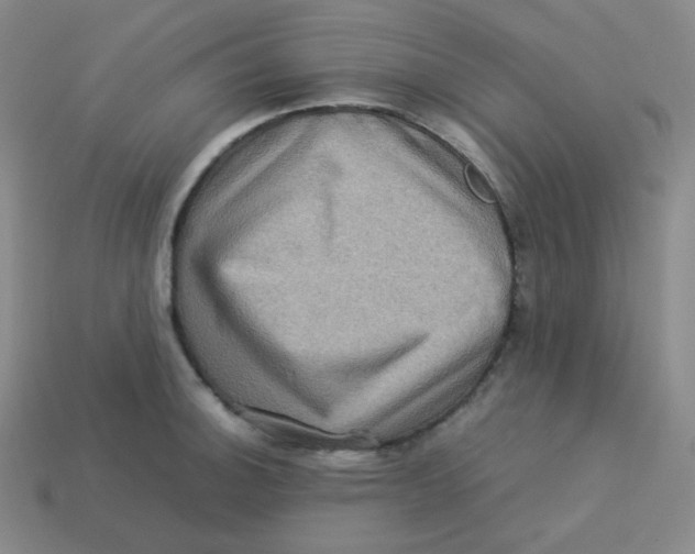 X0000113311140200910131102