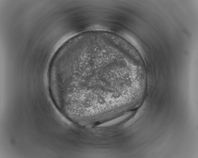 X0000113311141200910131102