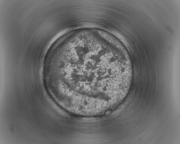 X0000113311142200910131102