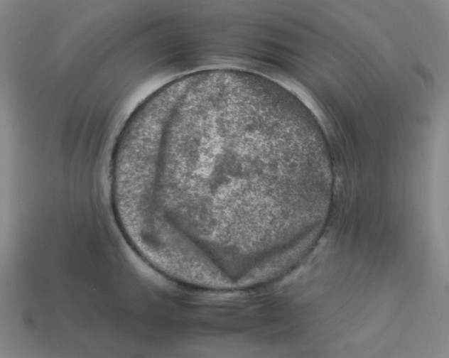 X0000113311143200910131102